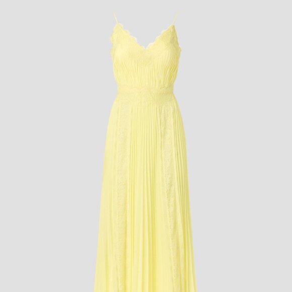 Zac Posen Dresses & Skirts - Zac Posen Chiffon Lace Gown, 10